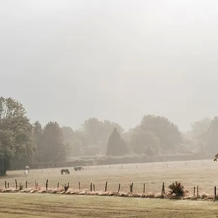 Wohlfuehloase Fuer 6 Personen Roetgen