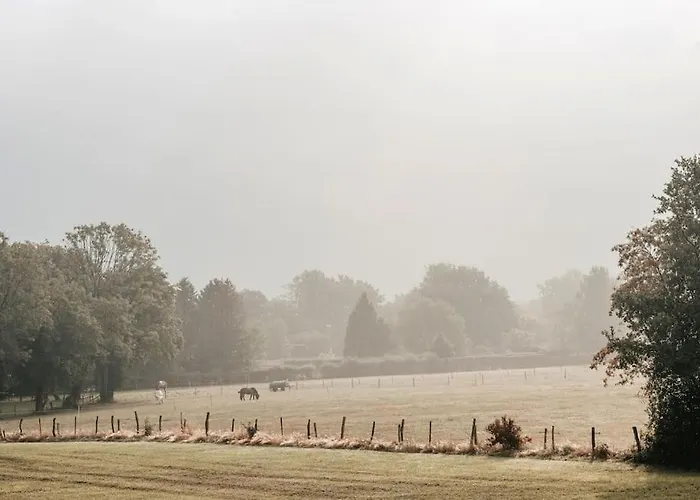 Wohlfuehloase Fuer 6 Personen Roetgen
